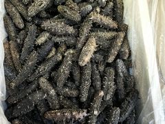 -宫品海参专卖店(静安大宁店)