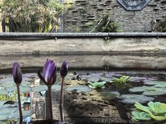 -九尺赵老四鲜鹅肠火锅