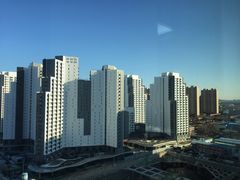 -世东国际