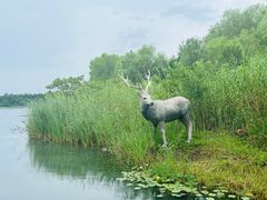 -溱湖国家湿地公园