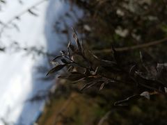 -萝卜寨羌文化生态旅游区