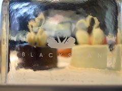 -BLACKSWAN黑天鹅(环球店)