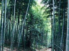 -众神白水涧景区