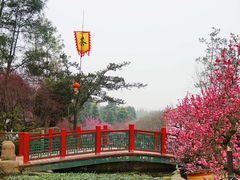 -秀丽东方