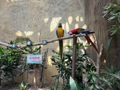 -杭州开元森泊度假乐园