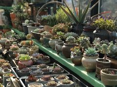 -北马山庄植趣咖啡