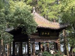 -东湖落雁景区