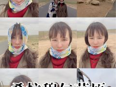 -希拉穆仁草原
