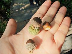 -野三坡百草畔景区