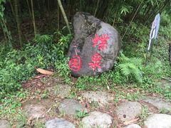 -都江堰中华大熊猫苑