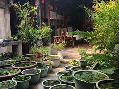 -晋江五店市传统文化旅游区