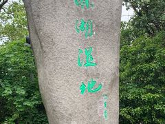 -溱湖国家湿地公园