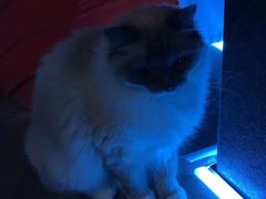 -零纪元VR体验馆·桌游(黄浦店)