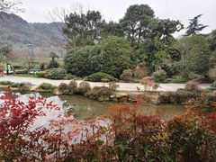-中国茶叶博物馆(双峰馆区)