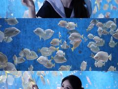 -合肥海洋世界