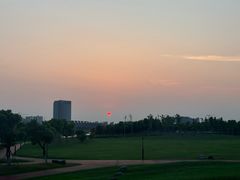 -春花秋色城市公园