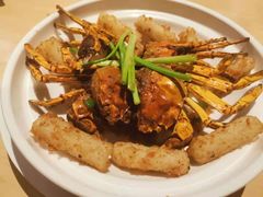 -避风塘(百联东郊店)