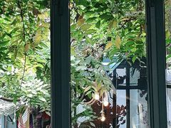 -喵屿·大理花园猫咖