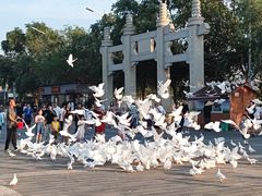 -天津妈祖文化园