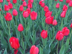 -长春公园(普阳街道)