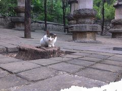 -四门塔风景区
