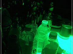 -自由港KTV(王子公主金平店)