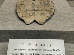 -北京中医药大学-中医药博物馆