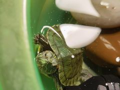-美联众合动物医院·24h转诊中心