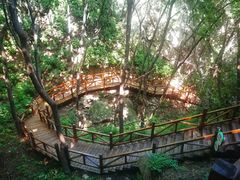 -大岭沟猕猴桃谷风景区