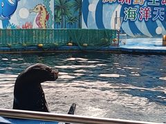 -深圳野生动物园