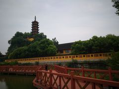 -邵顺兴锅盖面(金山宝地店)