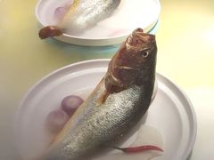 -鸽子侯·家宴·平价海鲜(绿地店)