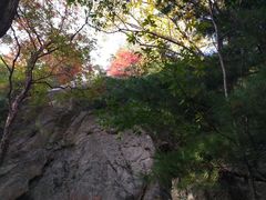 -王顺山国家森林公园