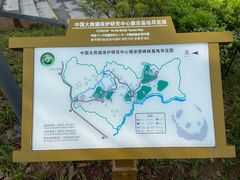 -中国大熊猫保护研究中心雅安碧峰峡基地
