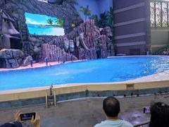 -珠海长隆海洋王国-鹦鹉过山车