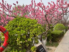 -元大都城垣遗址公园