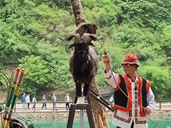 -山西通天峡景区