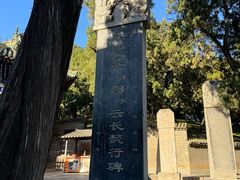 -关林