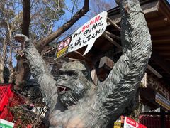 -宫城藏王狐狸村