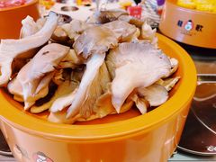 -龍歌自助小火锅(市南金茂湾店)