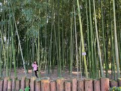 -荆川公园
