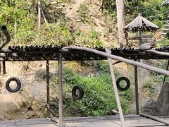 -西双版纳原始森林公园