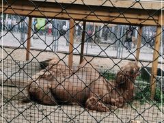 -长白岛森林公园