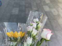 -循礼门鲜花花市(武汉循礼门店)