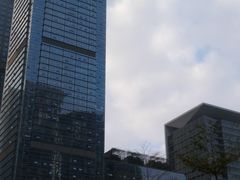 -金中环国际商务大厦