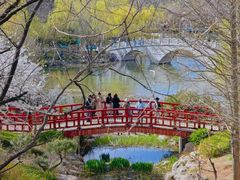 -大连植物园