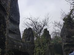 -山王坪喀斯特国家生态公园