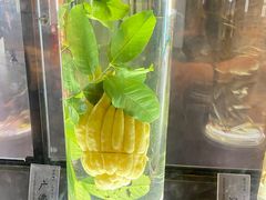 -广东中医药博物馆
