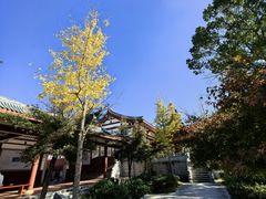 -莆田南少林寺