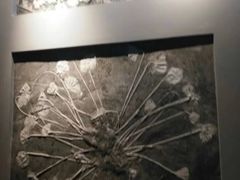 -辽宁古生物博物馆